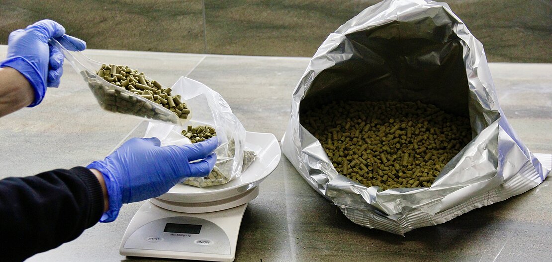 Abwägen und verpacken von Hopfenpellets bei der Hopfenshop.ch GmbH